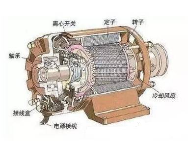 交流电动机结构示意图.jpg