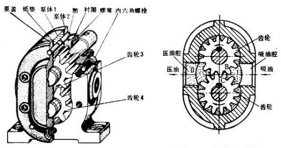 外啮合齿轮泵基本机构图.png