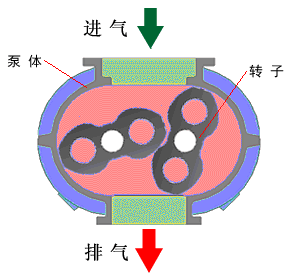 罗茨真空泵基本结构图.png